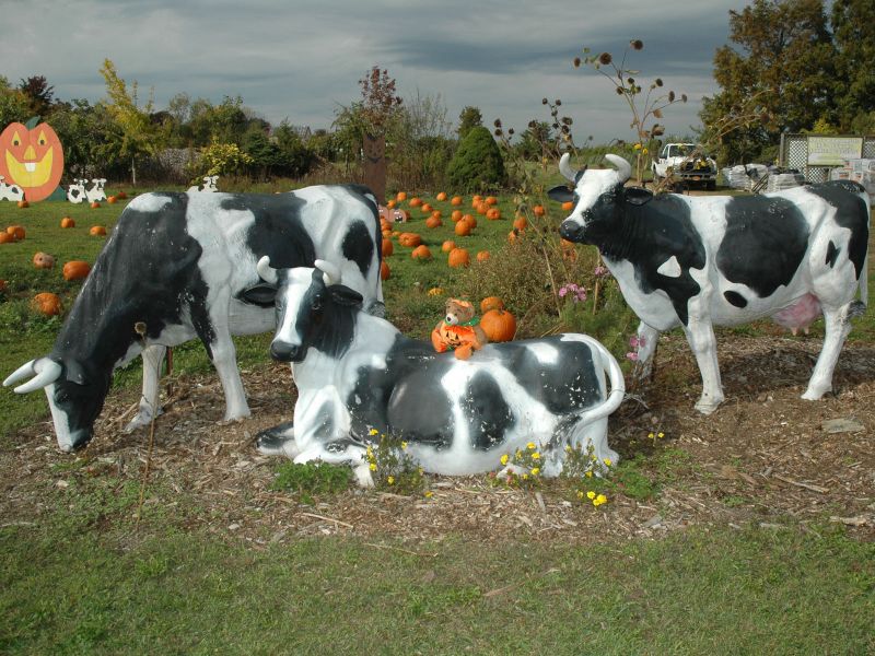 2014_10_18_-_070_-_Nikon_D70.JPG