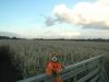 2014_10_18_-_135_-_Nikon_D70.JPG